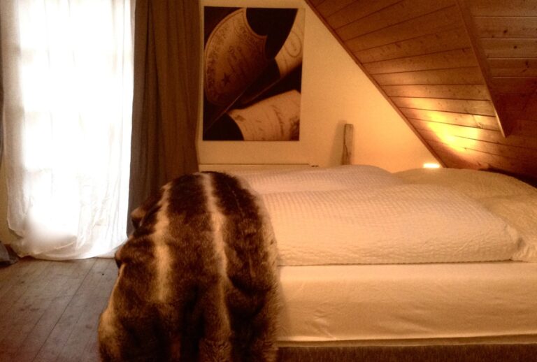 emotionheader 31 768x518