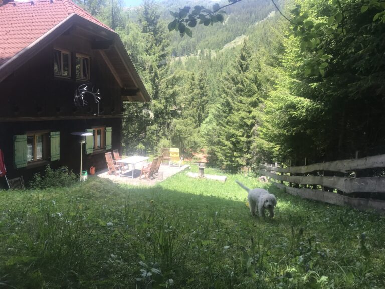 3716F2E6 2C0E 4919 A010 9C303B07C4A3 768x576