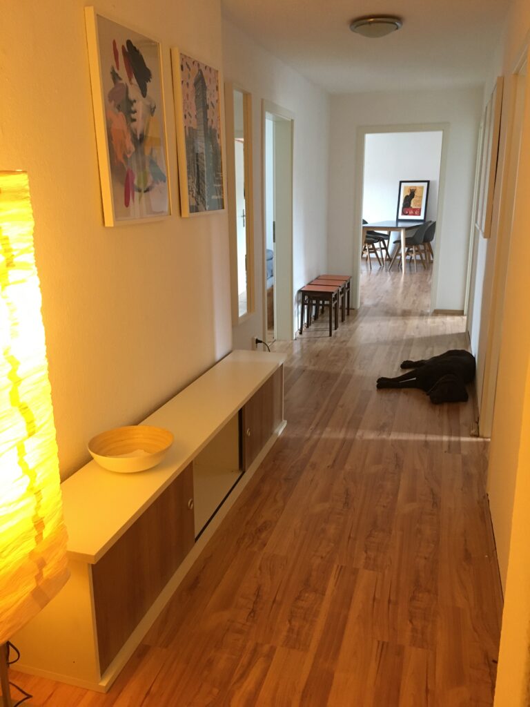 99D4CD53 51BD 41B8 8700 812912775672 768x1024