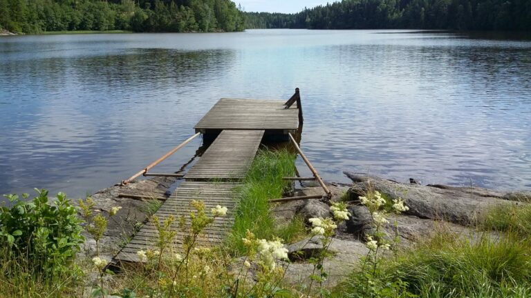 20150803 160220 0 768x432