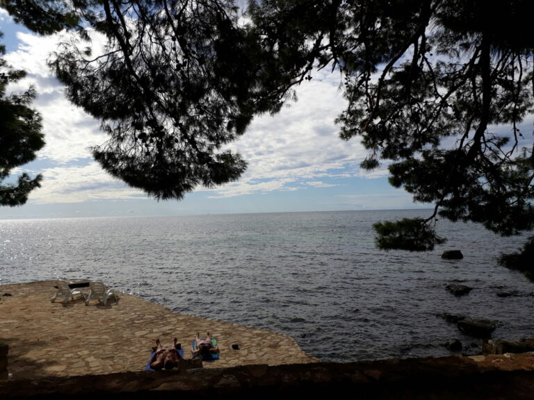 20170903 153832 768x576