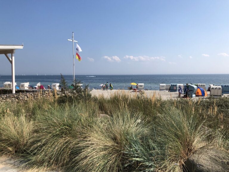 14FFAB4A B8D6 471C 9390 626444142CF6 768x576