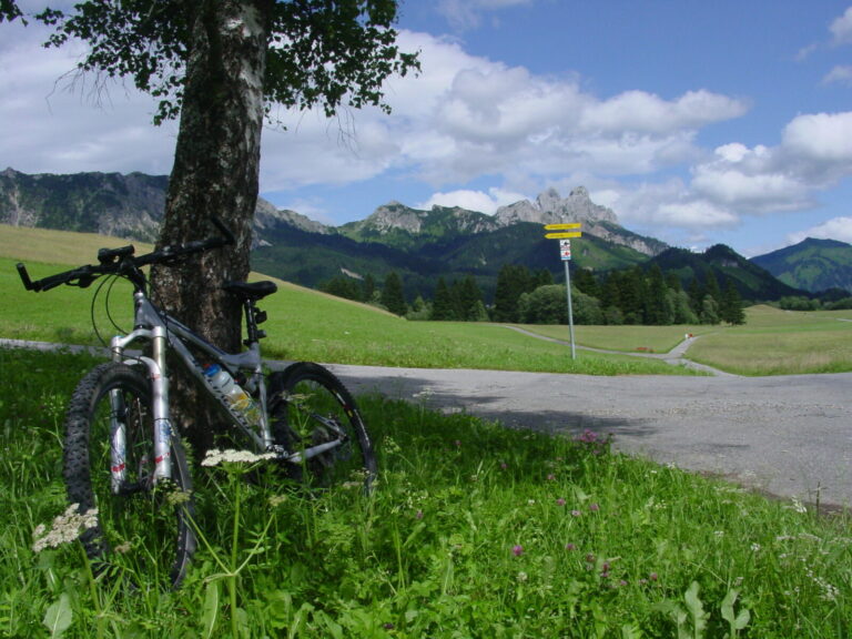 tannheim 1 2 768x576