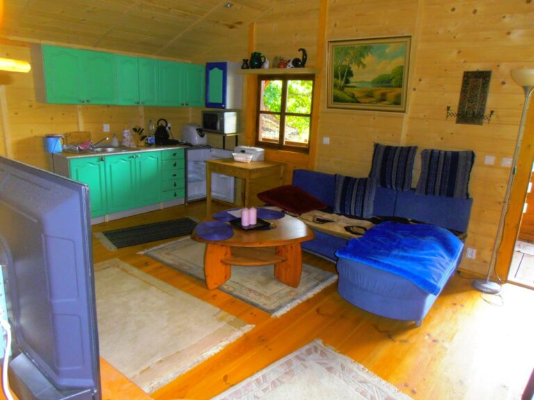 thumbnail P1010122 768x576