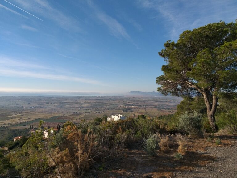 20190209 094126 768x576