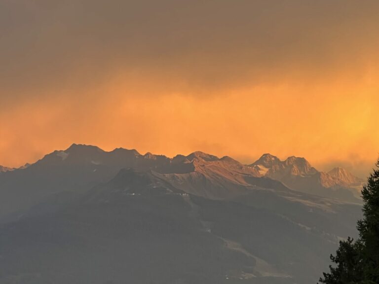 2F98201D F629 4531 9925 1C41544DADF7 768x576