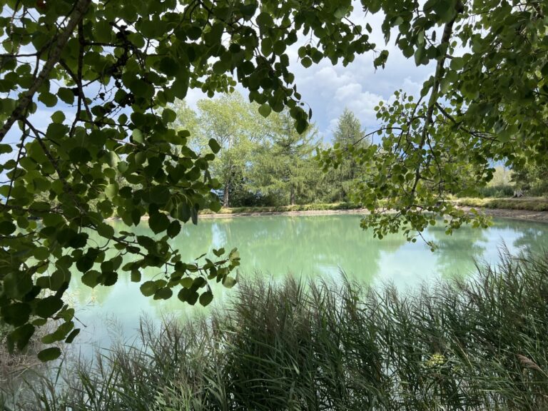 E96C7E63 D78A 4562 9048 5D1131422737 768x576