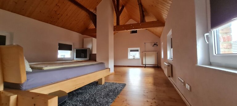 20220711 133100 768x346