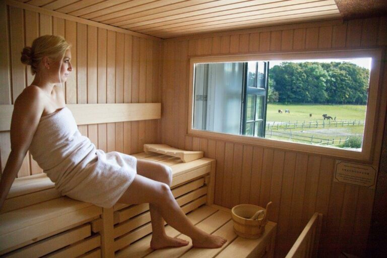 Sauna Pferde 768x512