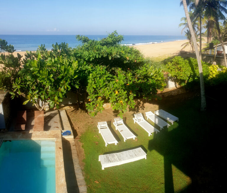 VK Blick in den Garten 768x652