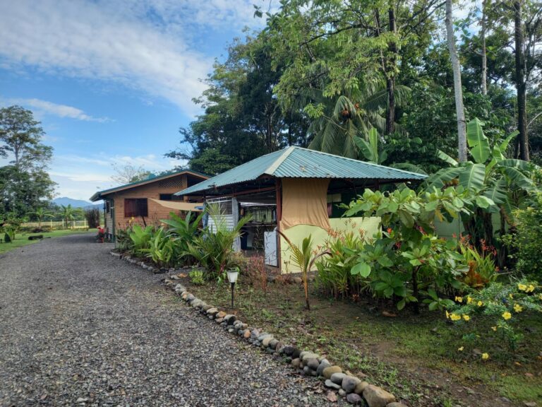 20221201 072837 768x576