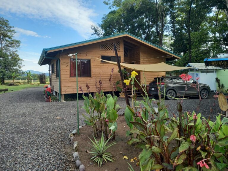 20221201 072907 768x576