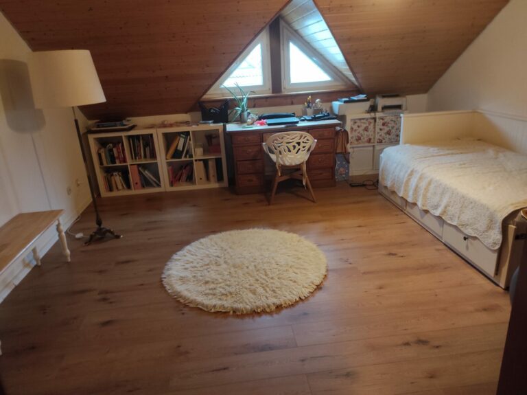 IMG 20221211 151735 768x575