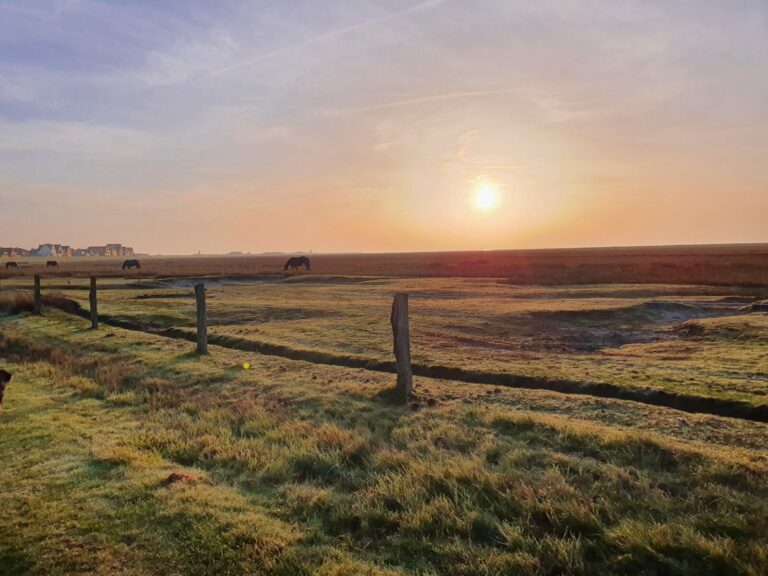 20221028 090341 768x576