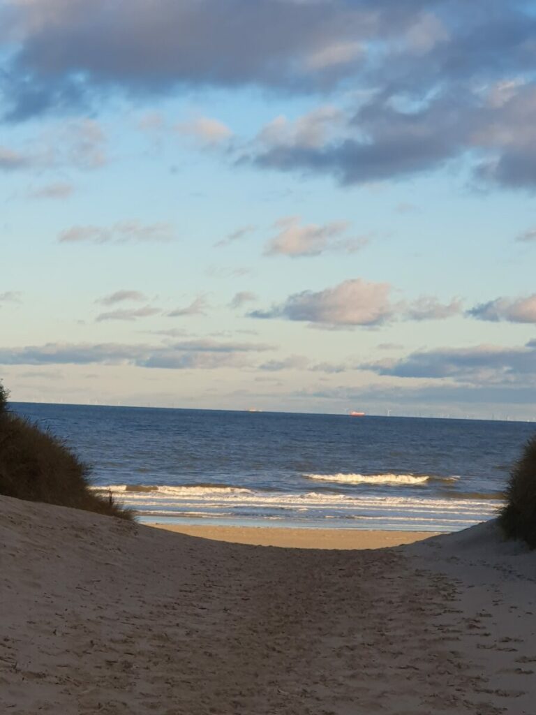 20221206 093156 768x1024