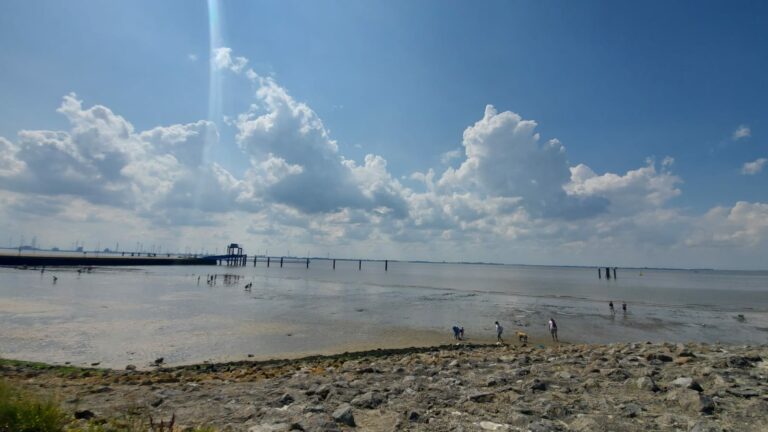 IMG 20210805 WA0007 768x432