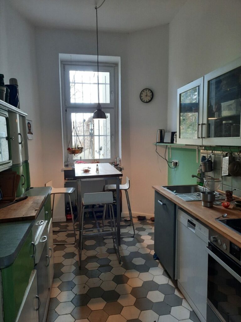 20230209 121640 768x1026