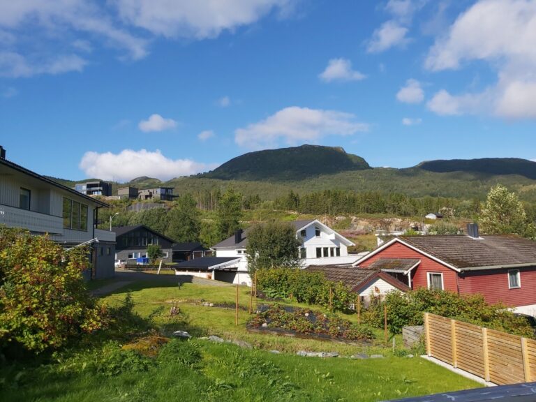 20220818 095509 768x576