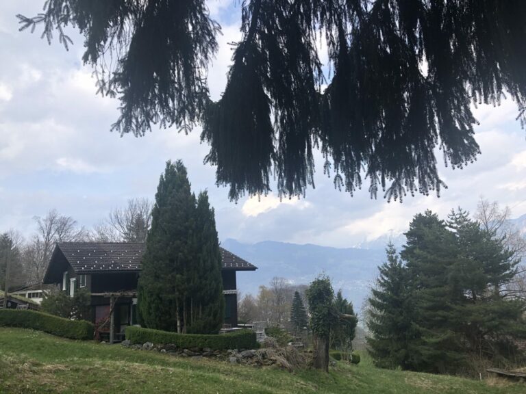 8E112EC7 4F3D 4EAC B02A 6F8D5365FA9D 768x576