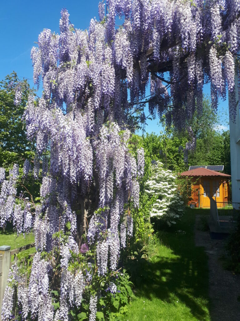 20220515 122852 768x1024