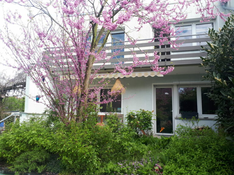 20230512 101613 768x576