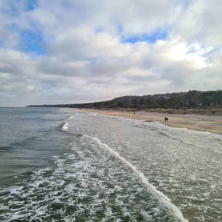 20220118 130857 768x768