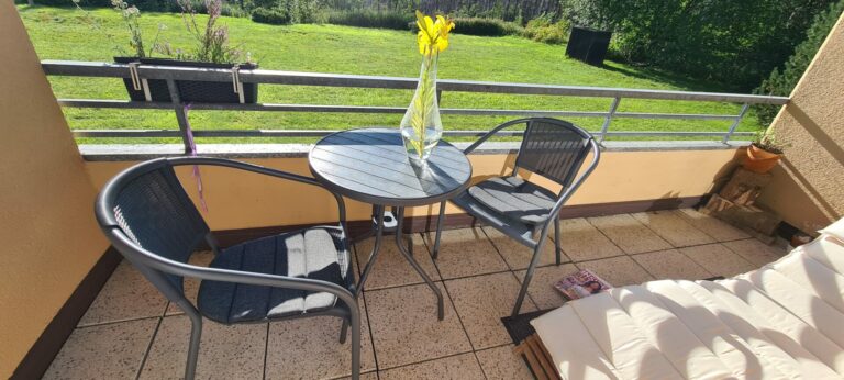 20230811 175540 768x346