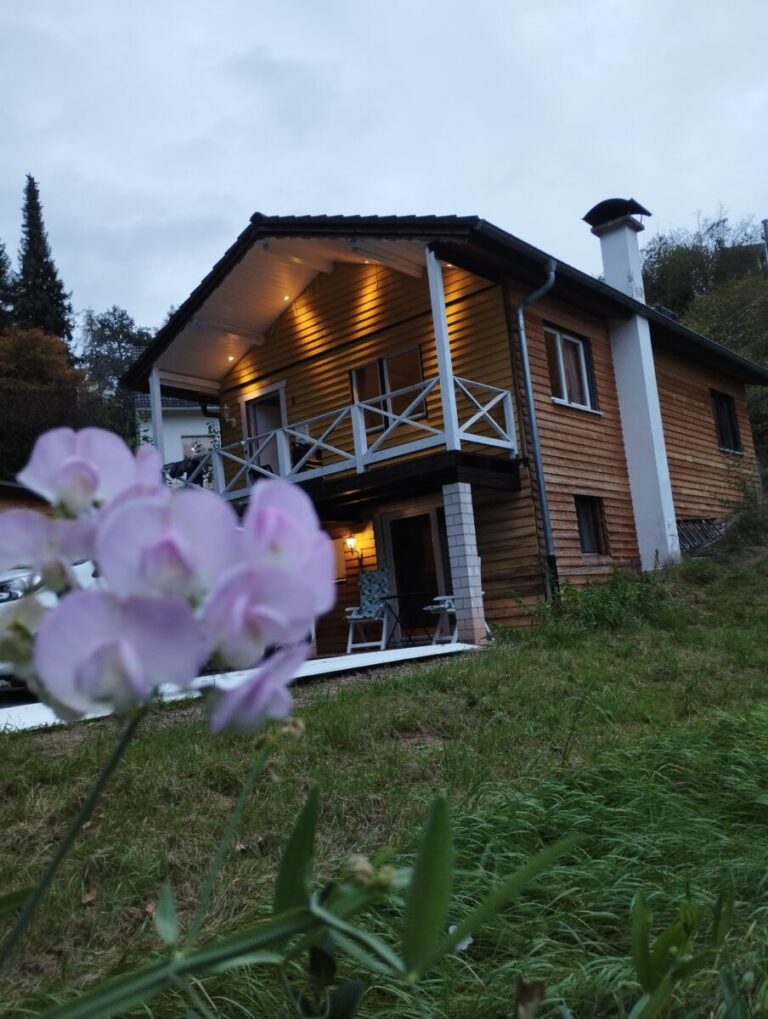 IMG 20231009 182547 768x1019