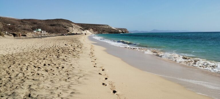 IMG 20231123 100041471 768x346