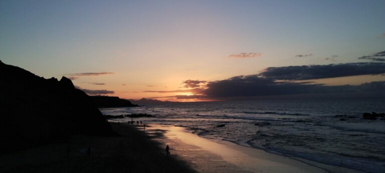 IMG 20231124 175447577 768x346