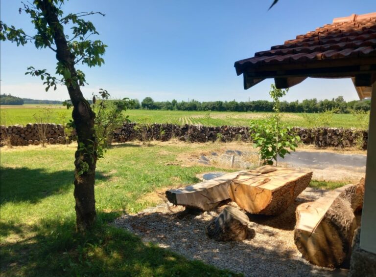 Screenshot 20240130 210955 768x567