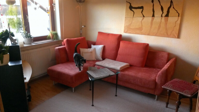 Wohnzimmersofa 768x433