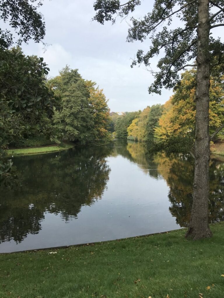 IMG 1480 768x1024