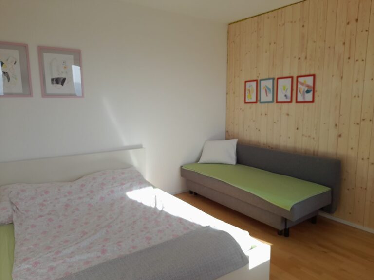 20221030 120336 768x576