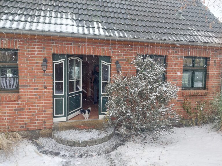 20231203 113426 768x576