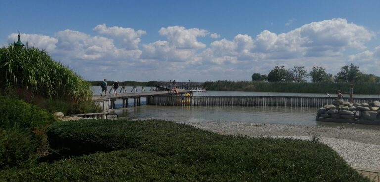 IMG 20220811 124225 768x367