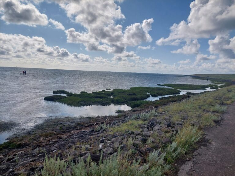 inbound7840036325207576989 768x576