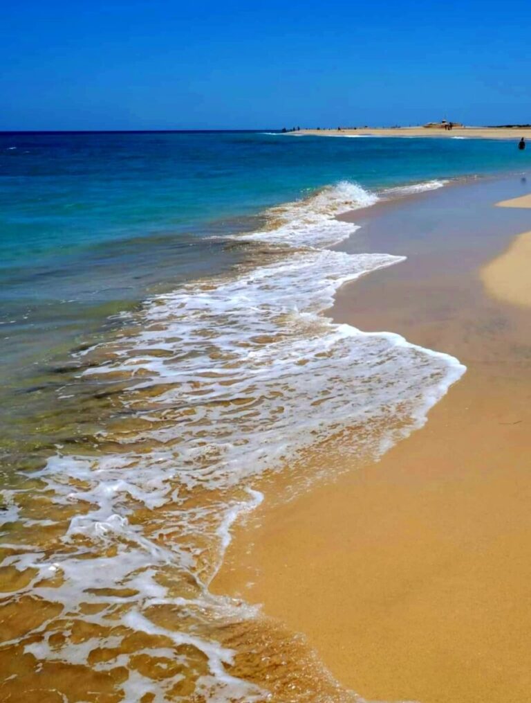 IMG 20240609 073417 768x1015