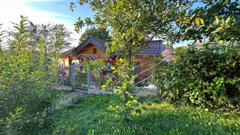 IMG 20240815 WA0011 768x432