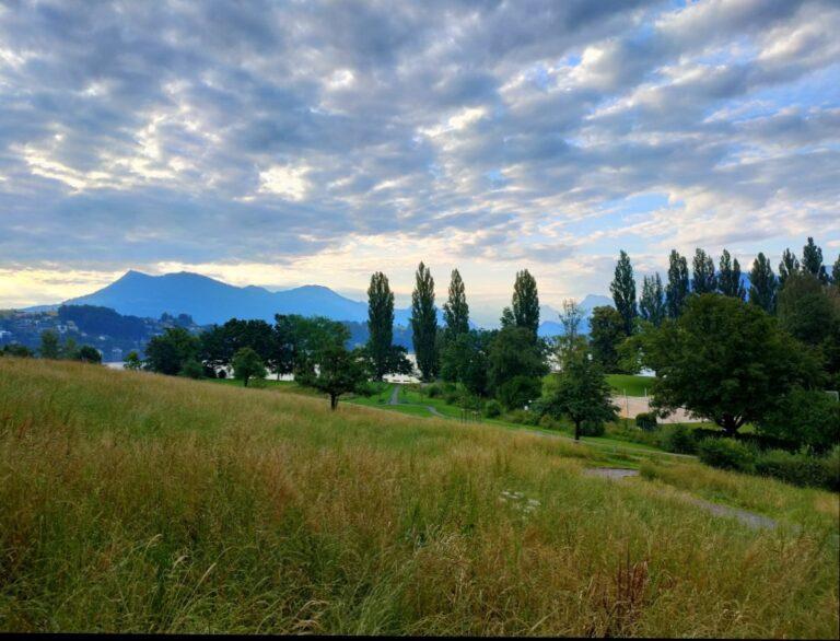 IMG 20240803 190000 768x586