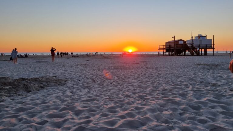 c96e4af6 18d2 4a10 b658 77f752048adb 768x432