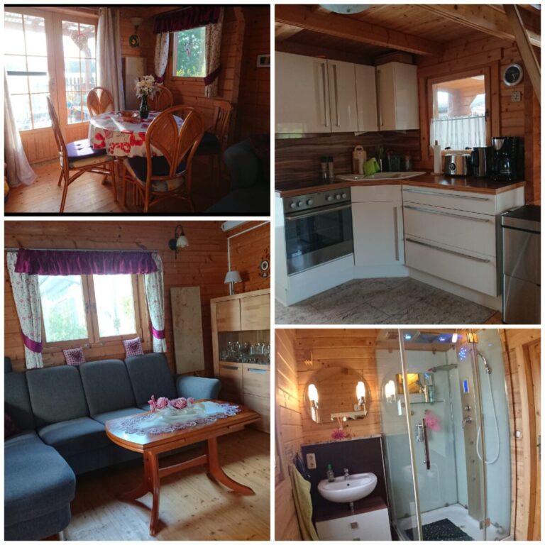 photocollage 20242115944590 768x768