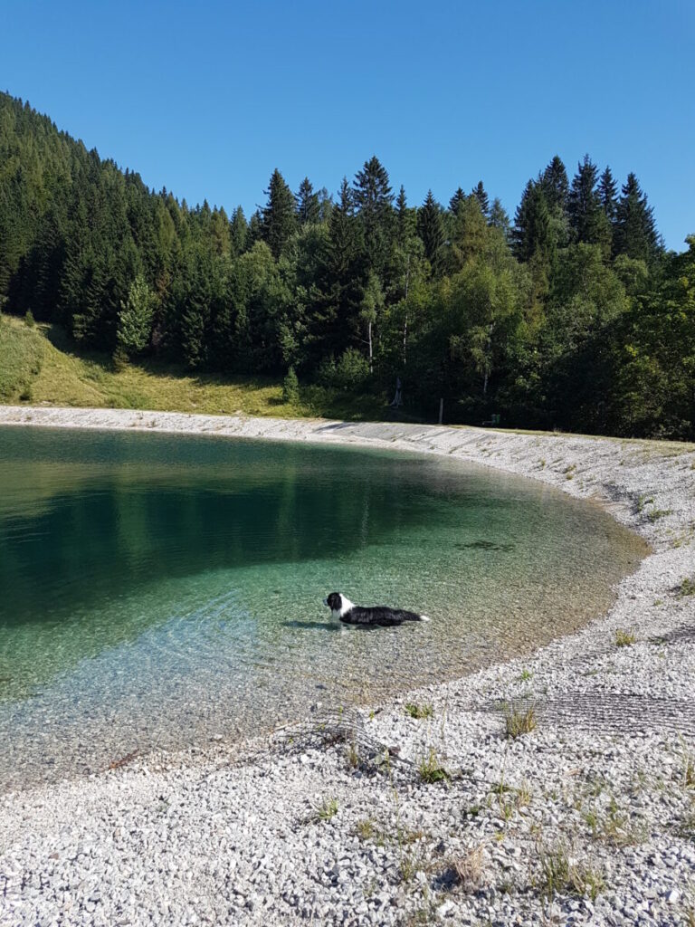 20230822 104747 768x1024