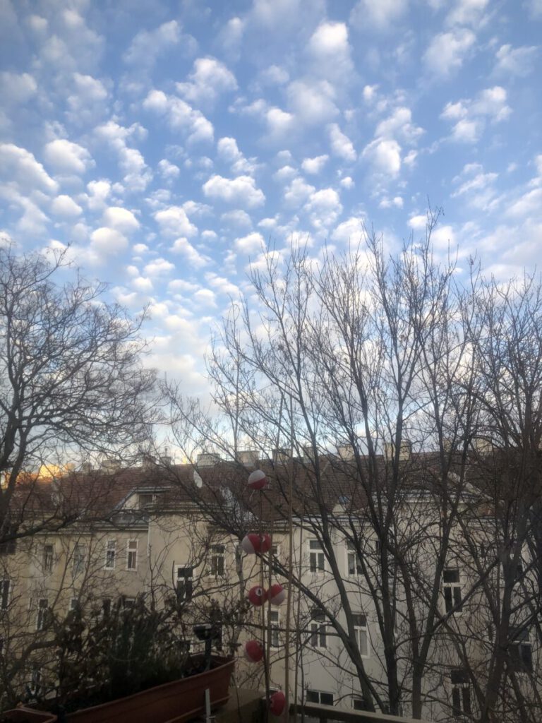 66619978746  EA4F48EE 5E8D 43E1 9934 941FBA4DF52C 768x1024