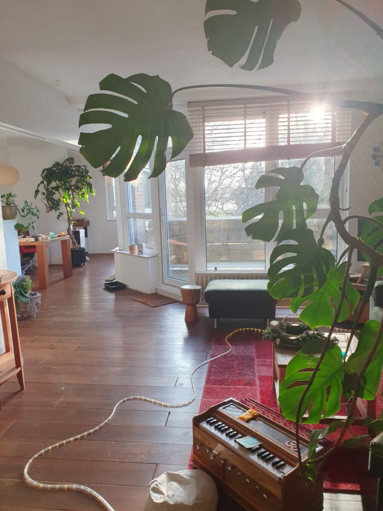 20241220 142939 768x1024