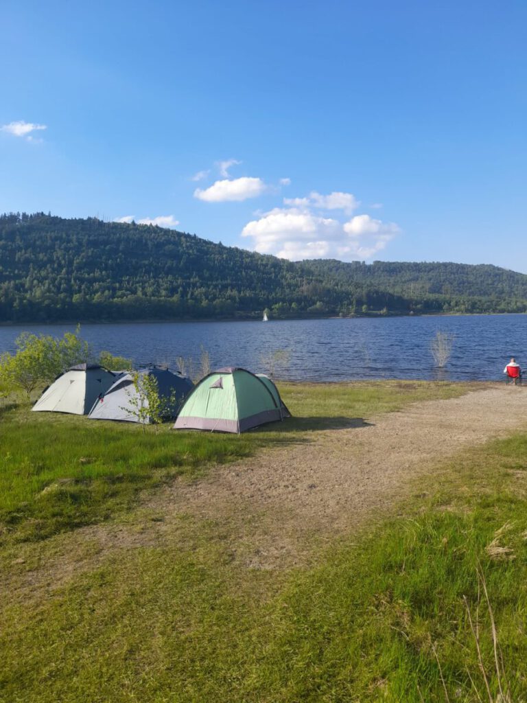 IMG 20240512 WA0242 768x1024