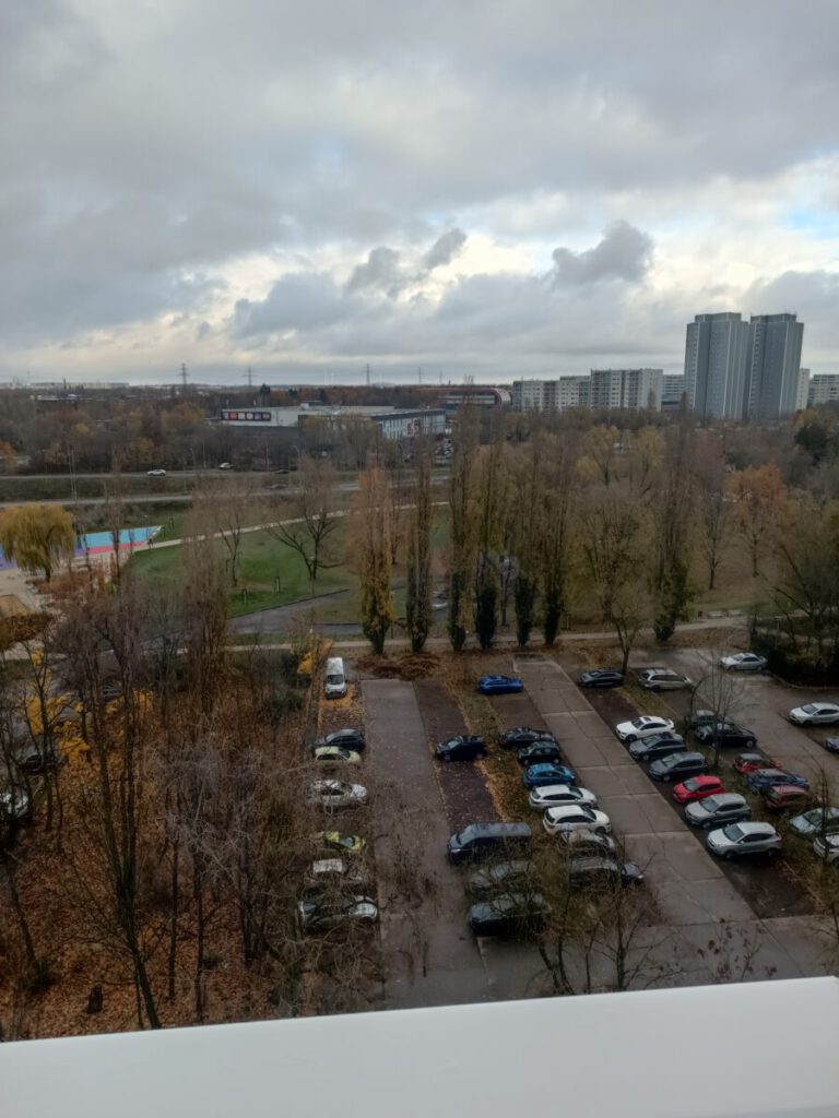 IMG 20241120 122215 768x1024