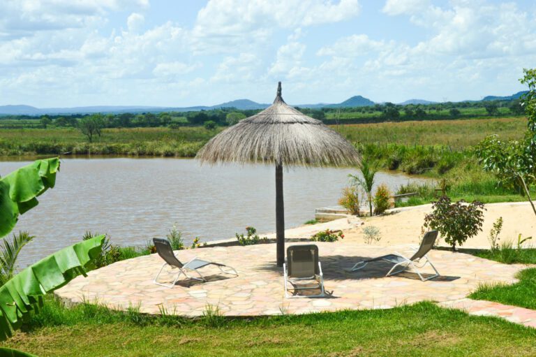 IMG 20250301 WA0018 768x511