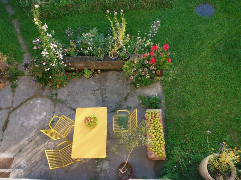 IMG 20200921 080059 small 768x576