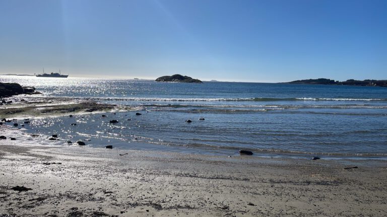 29398432 A165 4CE7 ABF7 E1F1E300E9EB 768x432